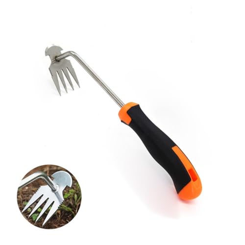 Unkraut Entferner Gerät Edelstahl, Unkrautjäter Unkrautzieher Unkrautmesser Wurzelstecher Entferner Gerät Unkraut Stecher Harke, Fugenkratzer Mit Stiel Gartenwerkzeug Unkrautentferner (A) von AQCQDQ