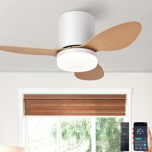 Klein Deckenventilator Mit Beleuchtung Und Fernbedienung APP, LED Ventilator Lamp Decke Mit Licht Deckenlüfter Leise, Leuchte Mit Ventilator Dimmbar Reversibler DC Motor Für Schlafzimmer Wohnzimmer von AQLEDY