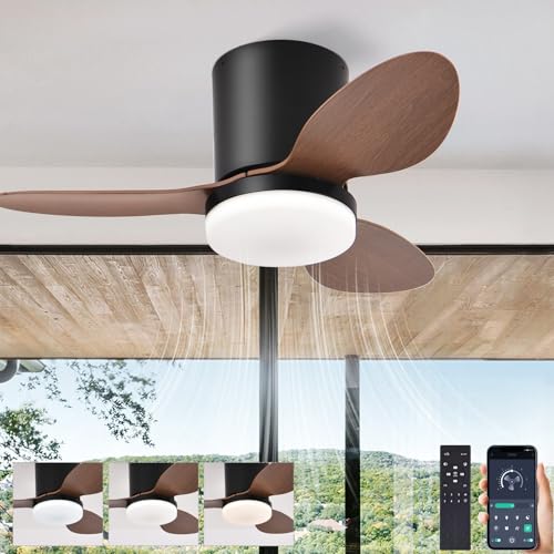 Klein Deckenventilator Mit Beleuchtung Und Fernbedienung APP, LED Ventilator Lamp Decke Mit Licht Deckenlüfter Leise, Leuchte Mit Ventilator Dimmbar Reversibler DC Motor Für Schlafzimmer Wohnzimmer von AQLEDY