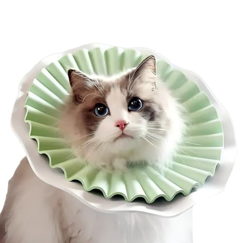 AQPET - Weiches Elisabethan-Halsband für Katzen, Haustiere, Flexibler und Leichter Kunststoff, doppellagig, verstellbar und bequem, Schutz nach Operationen und Wunden - Farbe Grün, Größe M AQPET - Weiches Elisabethan-Halsband für Katzen, Haustiere, Flexibler und Leichter Kunststoff, doppellagig, verstellbar und bequem, Schutz nach Operationen und Wunden - Farbe Grün, Größe M von AQPET