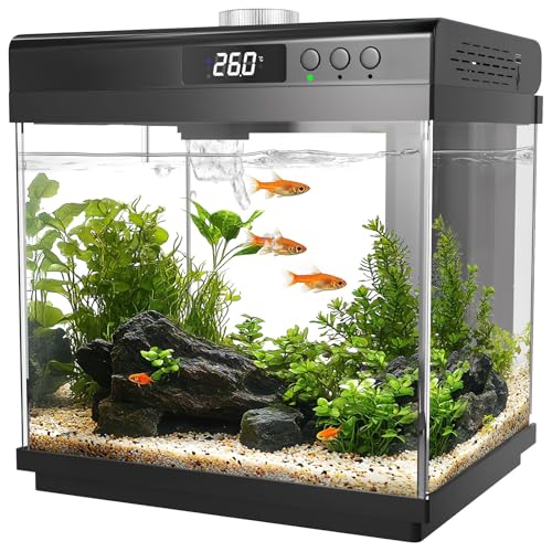 AQQA 14L Aquarium Komplettset,Nano Fischtank Aquarium mit LED-Beleuchtung und Eingebautem Filtersystem,10 Farben Justierbarer Nano Aquarium Tank,Selbstreinigende Tropische Fisch Tank Kit von AQQA