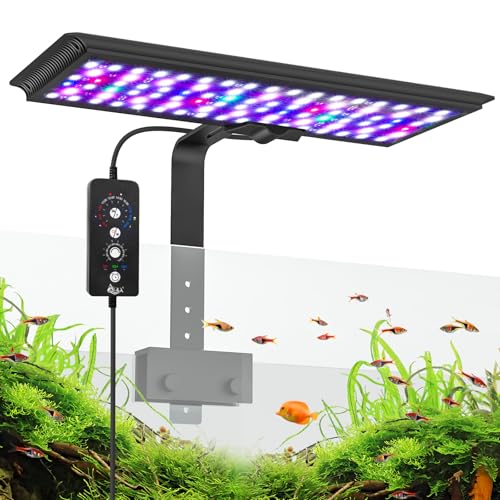 AQQA Aquarium LED Beleuchtung,24/7 Modus Clip-on Aquarium Licht,DIY-Modus Vollspektrum Aquarium Pflanzenlicht,24W Einstellbarer Timer/Helligkeit mit Memory-Funktion,für 60-80cm Aquarien AQQA Aquarium LED Beleuchtung,24/7 Modus Clip-on Aquarium Licht,DIY-Modus Vollspektrum Aquarium Pflanzenlicht,24W Einstellbarer Timer/Helligkeit mit Memory-Funktion,für 60-80cm Aquarien von AQQA