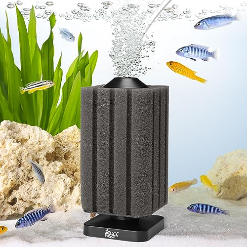 AQQA Aquarium Schwammfilter, 2024 Upgrade Aquarium Filter für Biologische und Mechanische Filterung, Tauchschaum Schwammfilter mit 1 Ersatzschwamm (S für 20-120L) von AQQA