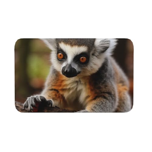 Fußmatte für den Innen- und Außenbereich, rutschfeste Bodenmatte, Affe Lemur, niedlich, für Eingangsbereich, Veranda, Waschküche, Badezimmer, Schlafzimmer, 50,8 x 80 cm Fußmatte für den Innen- und Außenbereich, rutschfeste Bodenmatte, Affe Lemur, niedlich, für Eingangsbereich, Veranda, Waschküche, Badezimmer, Schlafzimmer, 50,8 x 80 cm von AQRJKHD