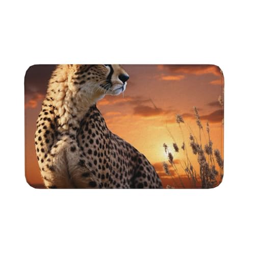Fußmatte für den Innen- und Außenbereich, rutschfeste Bodenmatte, Motiv: Gepard mit Blick über die Savanne mit Sonnenuntergang, für Eingangsbereich, Veranda, Waschküche, Badezimmer, Schlafzimmer von AQRJKHD