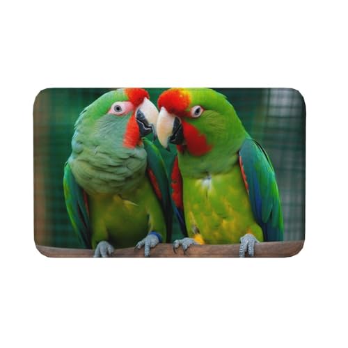 Fußmatte für den Innen- und Außenbereich, rutschfeste Bodenmatte, zwei Papageien lieben sich gegenseitig, Eingangsteppich, Veranda, Waschküche, Badezimmer, Schlafzimmer, 50,8 x 80 cm Teppich Fußmatte für den Innen- und Außenbereich, rutschfeste Bodenmatte, zwei Papageien lieben sich gegenseitig, Eingangsteppich, Veranda, Waschküche, Badezimmer, Schlafzimmer, 50,8 x 80 cm Teppich von AQRJKHD
