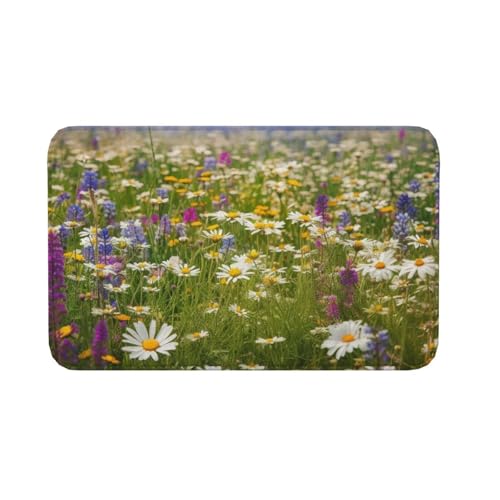 Fußmatte für drinnen und draußen, rutschfeste Bodenmatte, Frühlingswiese, Blumen, Eingangsteppich, Veranda, Waschküche, Badezimmer, Schlafzimmer, 50,8 x 80 cm von AQRJKHD
