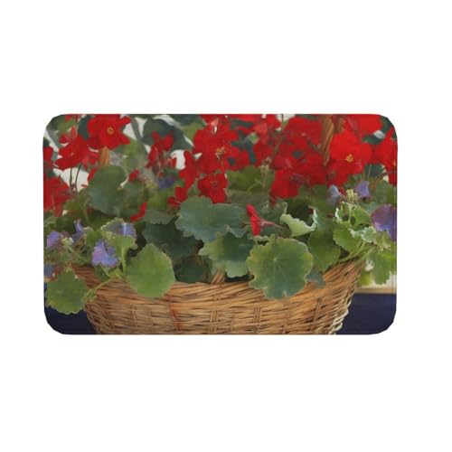 Fußmatte für drinnen und draußen, rutschfeste Bodenmatte, Geranien-Korb, Fußmatte für Eingangsbereich, Veranda, Waschküche, Badezimmer, Schlafzimmer, 50,8 x 80 cm von AQRJKHD