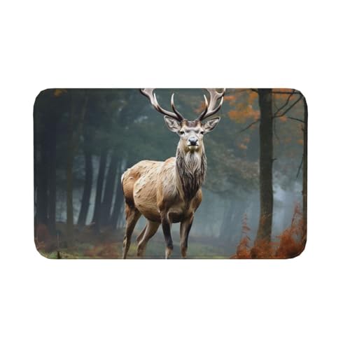 Fußmatte für drinnen und draußen, rutschfeste Bodenmatte, Hirschtiere, Fußmatte für Eingangsbereich, Veranda, Waschküche, Badezimmer, Schlafzimmer, 50,8 x 80 cm von AQRJKHD