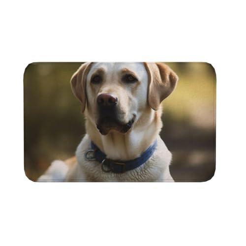 Fußmatte für drinnen und draußen, rutschfeste Bodenmatte, Labrador, Fußmatte für Eingangsbereich, Veranda, Waschküche, Badezimmer, Schlafzimmer, 50,8 x 80 cm Fußmatte für drinnen und draußen, rutschfeste Bodenmatte, Labrador, Fußmatte für Eingangsbereich, Veranda, Waschküche, Badezimmer, Schlafzimmer, 50,8 x 80 cm von AQRJKHD