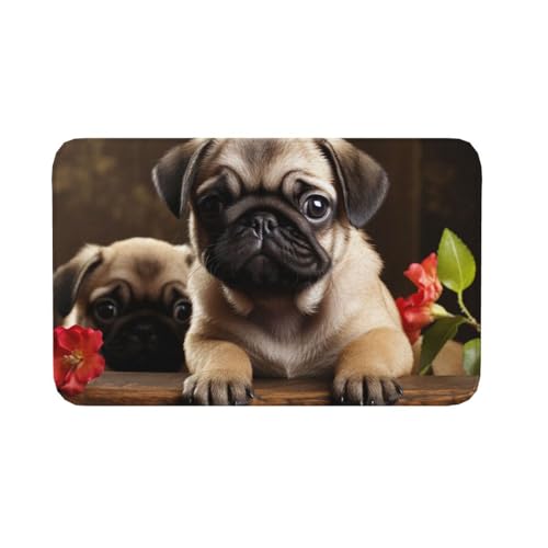 Fußmatte für drinnen und draußen, rutschfeste Bodenmatte, Mops, Fußmatte für Eingangsbereich, Veranda, Waschküche, Badezimmer, Schlafzimmer, 50,8 x 80 cm von AQRJKHD