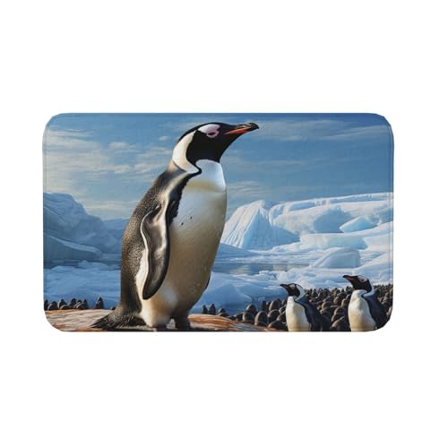 Fußmatte für drinnen und draußen, rutschfeste Bodenmatte, Pinguin-Druck, Fußmatte für Eingangsbereich, Veranda, Waschküche, Badezimmer, Schlafzimmer, 50,8 x 80 cm von AQRJKHD