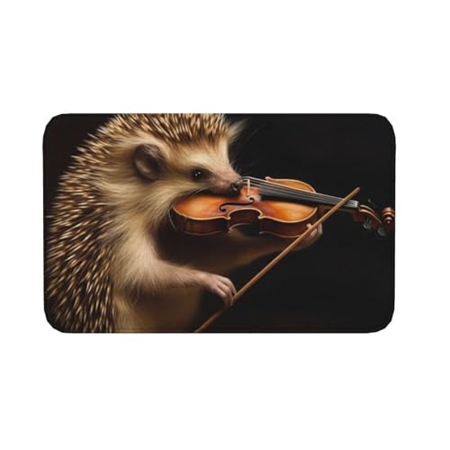 Fußmatte für drinnen und draußen, rutschfeste Bodenmatte, Tier, Igel, Musik, Violine, Eingangsteppich, Veranda, Waschküche, Badezimmer, Schlafzimmer, Teppich, 50,8 x 80 cm von AQRJKHD