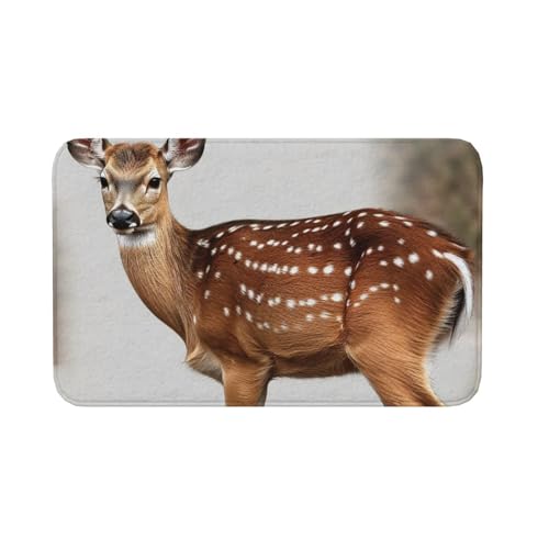 Fußmatte für drinnen und draußen, rutschfeste Bodenmatte, gepunktetes Hirsch, Fußmatte für Eingangsbereich, Veranda, Waschküche, Badezimmer, Schlafzimmer, 50,8 x 80 cm Fußmatte für drinnen und draußen, rutschfeste Bodenmatte, gepunktetes Hirsch, Fußmatte für Eingangsbereich, Veranda, Waschküche, Badezimmer, Schlafzimmer, 50,8 x 80 cm von AQRJKHD