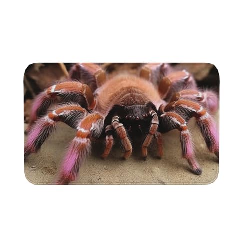 Fußmatte für drinnen und draußen, rutschfeste Bodenmatte, große mexikanische rosa Vogelspinne, Fußmatte für Eingangsbereich, Veranda, Waschküche, Badezimmer, Schlafzimmer, 50,8 x 80 cm Fußmatte für drinnen und draußen, rutschfeste Bodenmatte, große mexikanische rosa Vogelspinne, Fußmatte für Eingangsbereich, Veranda, Waschküche, Badezimmer, Schlafzimmer, 50,8 x 80 cm von AQRJKHD