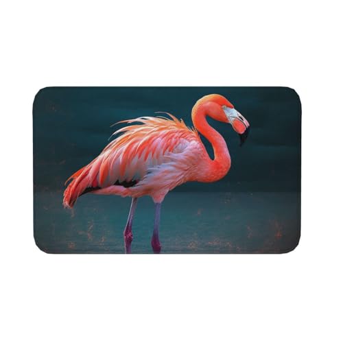 Fußmatte für drinnen und draußen, rutschfeste Bodenmatte, lebendiger Flamingo, Fußmatte für Eingangsbereich, Veranda, Waschküche, Badezimmer, Schlafzimmer, 50,8 x 80 cm Fußmatte für drinnen und draußen, rutschfeste Bodenmatte, lebendiger Flamingo, Fußmatte für Eingangsbereich, Veranda, Waschküche, Badezimmer, Schlafzimmer, 50,8 x 80 cm von AQRJKHD