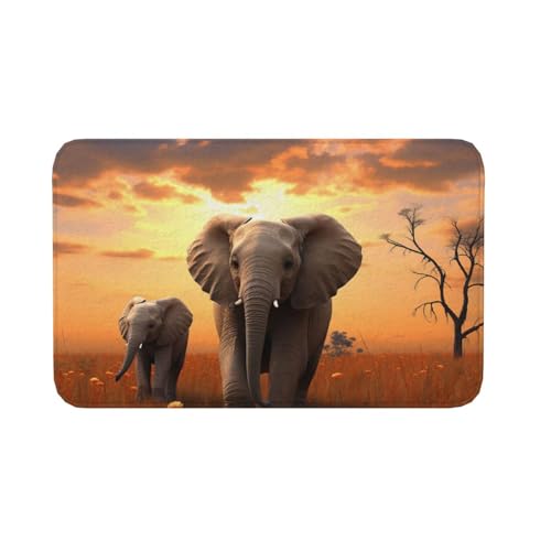 Fußmatte für drinnen und draußen, rutschfeste Bodenmatte, niedlicher wilder Elefant, Fußmatte für Eingangsbereich, Veranda, Waschküche, Badezimmer, Schlafzimmer, 50,8 x 80 cm von AQRJKHD