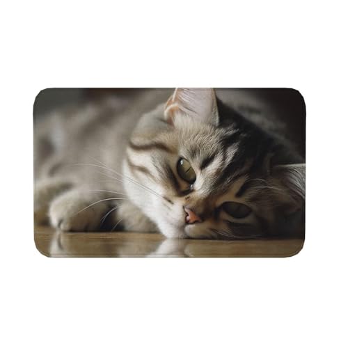 Fußmatte für drinnen und draußen, rutschfeste Bodenmatte, schlafende Katze, Fußmatte für Eingangsbereich, Veranda, Waschküche, Badezimmer, Schlafzimmer, 50,8 x 80 cm Fußmatte für drinnen und draußen, rutschfeste Bodenmatte, schlafende Katze, Fußmatte für Eingangsbereich, Veranda, Waschküche, Badezimmer, Schlafzimmer, 50,8 x 80 cm von AQRJKHD