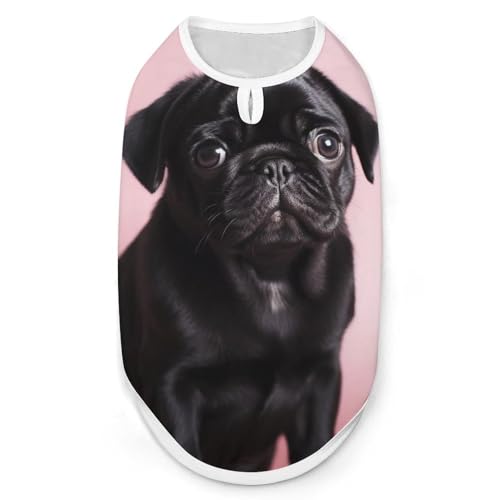 Hundeshirt mit niedlichem Mops, schnell trocknend, atmungsaktiv, weich, dehnbar, ärmellos, Größe M, Schwarz Hundeshirt mit niedlichem Mops, schnell trocknend, atmungsaktiv, weich, dehnbar, ärmellos, Größe M, Schwarz von AQRJLPM