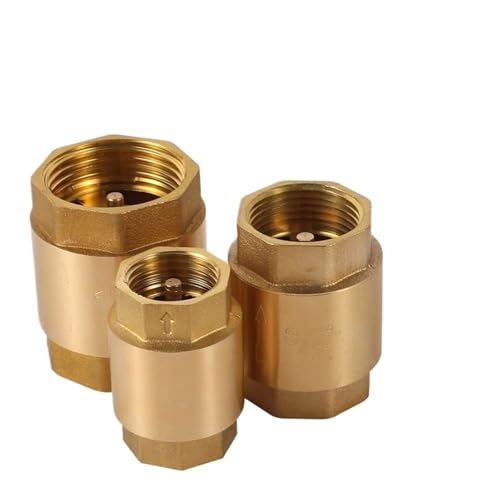 Thread In-Line Spring for Water Control 1/2" 3/4" 1" 2" DN15 DN20 DN25 Anti Backflow One-Way Valve Irrigation Aquarium System(DN25 G1) von AQRKPKQBH