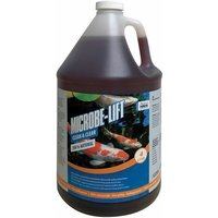 4L Microbe-Lift clean&clear nützliche,lebende Bakterien Filterstart - Aqua Forte von AQUA FORTE