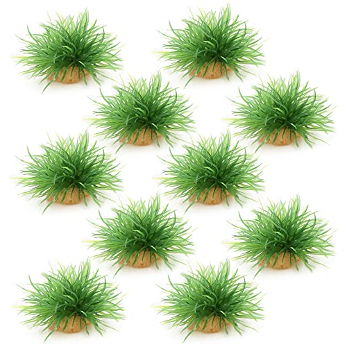 AQUA KT Aquarien Vordergrund Pflanzen Gras Algen Grün Plastik für Fisch Tank Landscahft Dekoration, 10 Stück per Packung AQUA KT Aquarien Vordergrund Pflanzen Gras Algen Grün Plastik für Fisch Tank Landscahft Dekoration, 10 Stück per Packung von AQUA KT