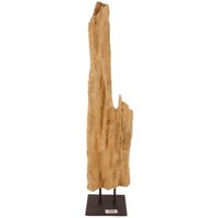 Aquaristikwelt24 - AquaOne Holz Deko Skulptur Rom Nr.4986 von AQUARISTIKWELT24