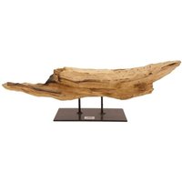 Aquaristikwelt24 - AquaOne Holz Deko Skulptur Rom Nr.5011 von AQUARISTIKWELT24