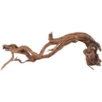 Aquaristikwelt24 - l Drachen Wurzel Nr.2203 Holz Deko Aquascaping von AQUARISTIKWELT24