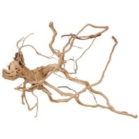 Aquaristikwelt24 - l Drachen Wurzel Nr.2212 Holz Deko Aquascaping von AQUARISTIKWELT24