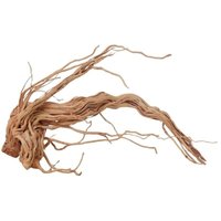 Aquaristikwelt24 - l Drachen Wurzel Nr.2214 Holz Deko Aquascaping von AQUARISTIKWELT24