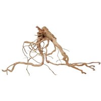 Aquaristikwelt24 - l Drachen Wurzel Nr.2221 Holz Deko Aquascaping von AQUARISTIKWELT24