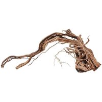 Aquaristikwelt24 - l Drachen Wurzel Nr.2222 Holz Deko Aquascaping von AQUARISTIKWELT24