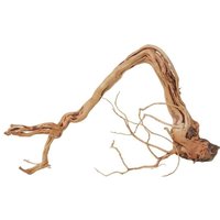 Aquaristikwelt24 - l Drachen Wurzel Nr.2226 Holz Deko Aquascaping von AQUARISTIKWELT24