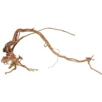 Aquaristikwelt24 - l Drachen Wurzel Nr.2227 Holz Deko Aquascaping von AQUARISTIKWELT24