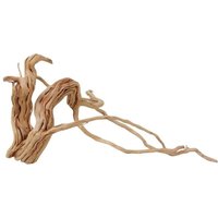 Aquaristikwelt24 - l Drachen Wurzel Nr.2228 Holz Deko Aquascaping von AQUARISTIKWELT24