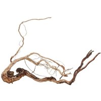 Aquaristikwelt24 - l Drachen Wurzel Nr.2231 Holz Deko Aquascaping von AQUARISTIKWELT24