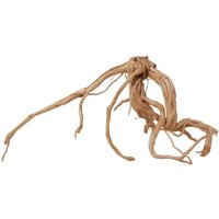 Aquaristikwelt24 - l Drachen Wurzel Nr.2232 Holz Deko Aquascaping von AQUARISTIKWELT24