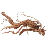 Aquaristikwelt24 - l Drachen Wurzel Nr.2233 Holz Deko Aquascaping von AQUARISTIKWELT24