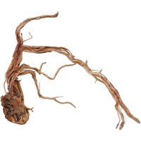 Aquaristikwelt24 - xl Drachen Wurzel Nr.2175 Holz Deko Aquascaping von AQUARISTIKWELT24