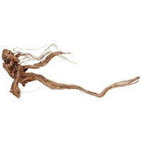 Aquaristikwelt24 - xl Drachen Wurzel Nr.2195 Holz Deko Aquascaping von AQUARISTIKWELT24
