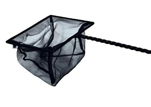 Aquarium Fangnetz Größe 10cm Kescher Fischnetz schwarz Aquariumnetz Fischkescher Köcher Netz Fein Fische Casher Aquarium Fangnetz Größe 10cm Kescher Fischnetz schwarz Aquariumnetz Fischkescher Köcher Netz Fein Fische Casher von AquaOne