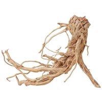 L Drachen Wurzel Nr.2224 Holz Deko Aquascaping von AQUARISTIKWELT24