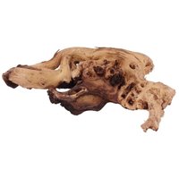 XL Mopani Wurzel Nr.1630 Holz Deko Aquascaping von AQUARISTIKWELT24