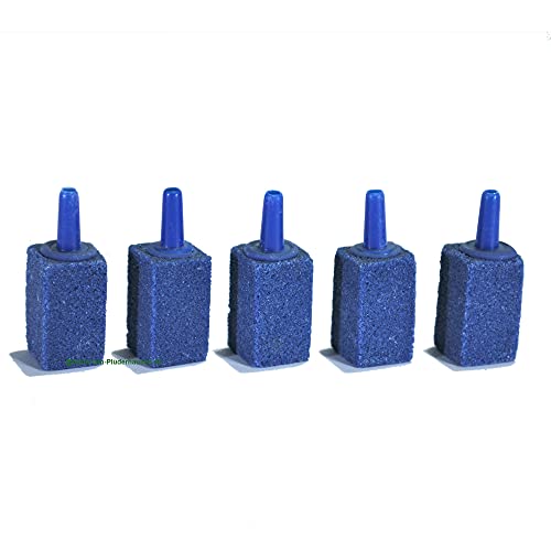 5X Aquarium Keramik Luftausströmer grobporig,Belüfterstein 15x15x25mm,air Stone von AQUARIUM PLÜDERHAUSEN