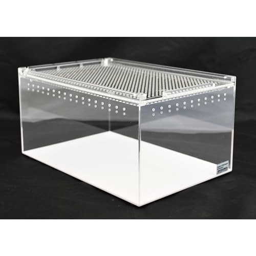 AQUARIUM PLÜDERHAUSEN Acryl- Glas-Terrarium mit Schiebe Deckel 30x20x15 cm,Futtertiere, Reptilien, Amphibien von AQUARIUM-PLÜDERHAUSEN