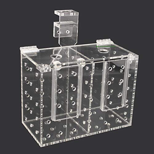 Aquarium Isolationsbox/Quarantänebox, Aufzuchtkasten, Fischfalle, Box für Korallenableger, 20x10x15 cm von AQUARIUM-PLÜDERHAUSEN
