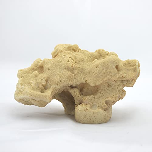 Felsen/Stein,16 x 9 x 9 cm, Meerwasser Riffgestein, Aquarium Deko Nachbildung Felsen/Stein,16 x 9 x 9 cm, Meerwasser Riffgestein, Aquarium Deko Nachbildung von AQUARIUM-PLÜDERHAUSEN
