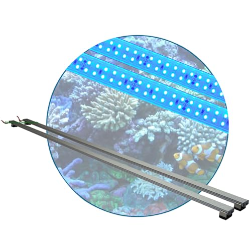 Meerwasser Aquarium - LED-Leuchtbalken 70 cm, 2 Leisten BLAU mit Trafo+Verteiler Meerwasser Aquarium - LED-Leuchtbalken 70 cm, 2 Leisten BLAU mit Trafo+Verteiler von AQUARIUM-PLÜDERHAUSEN