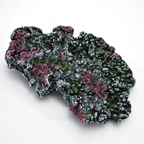 Riffgesteins Platte,29x20x6,5cm,Meerwasser Aquarium Deko,Riff Stein Nachbildung von AQUARIUM-PLÜDERHAUSEN